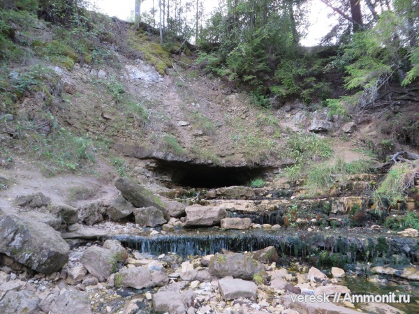нижний карбон, Новгородская область, р. Понеретка