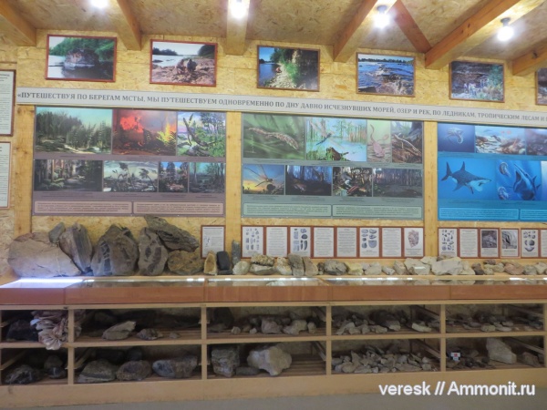карбон, музеи, р. Мста, Музей палеонтологии горной Мсты