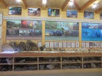 Музей палеонтологии горной Мсты