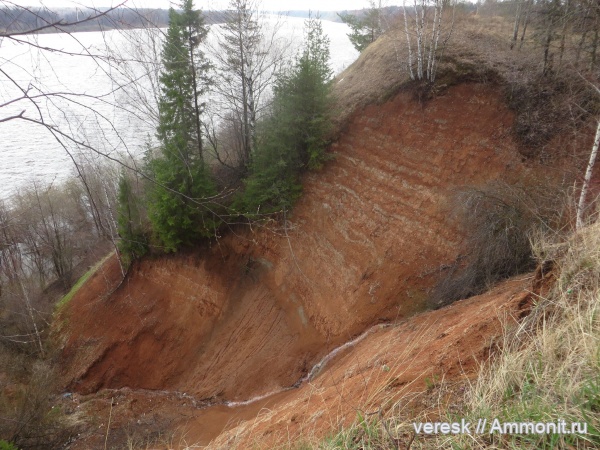 пермь, Киров, звероящеры