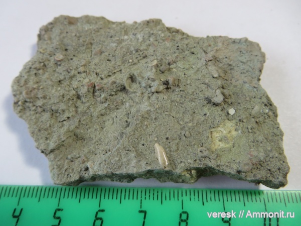 девон, рыбы, Ильменский глинт