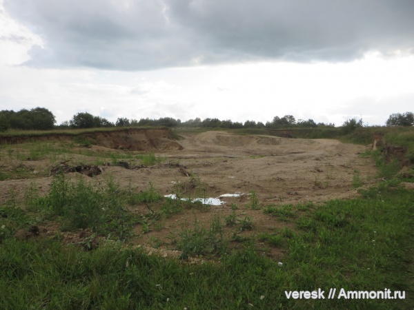 ордовик, Тверская область, Рогачевский карьер