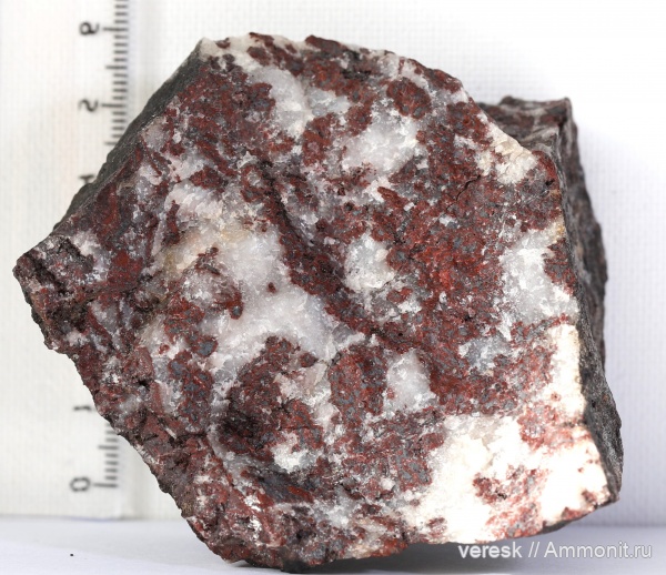 Карелия, Palia septentrionalis, онколиты, Нижний протерозой