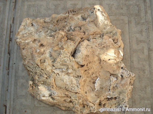 Мои первые находки