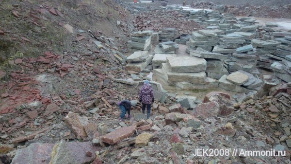 Наши находки "Путиловский карьер"