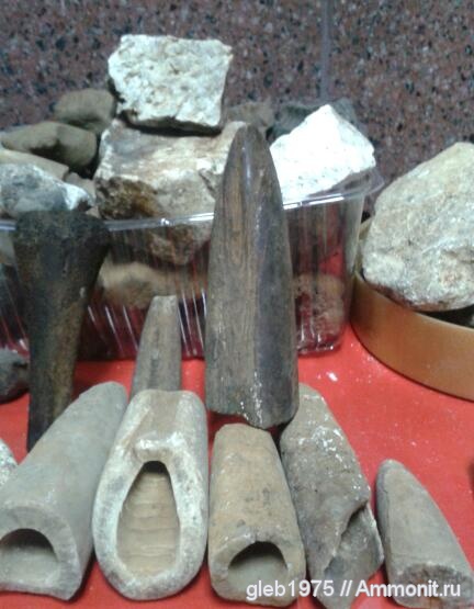 белемниты, юра