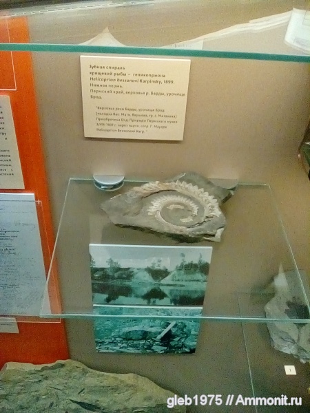 Фото из поездок по России. И не только.