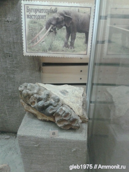 плейстоцен