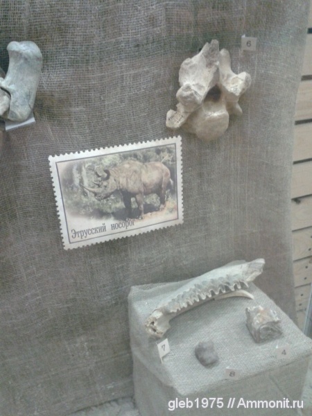 плейстоцен