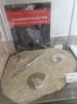 Государственный Геологический Музей Государственный Геологический Музей