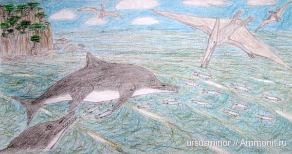 белемниты, рептилии, мел, птерозавры, водные рептилии, ихтиозавры, птеранодоны