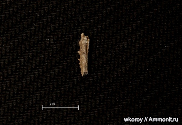 меловой период, курск, КПС