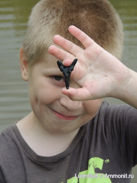 зубы акул, Дерней