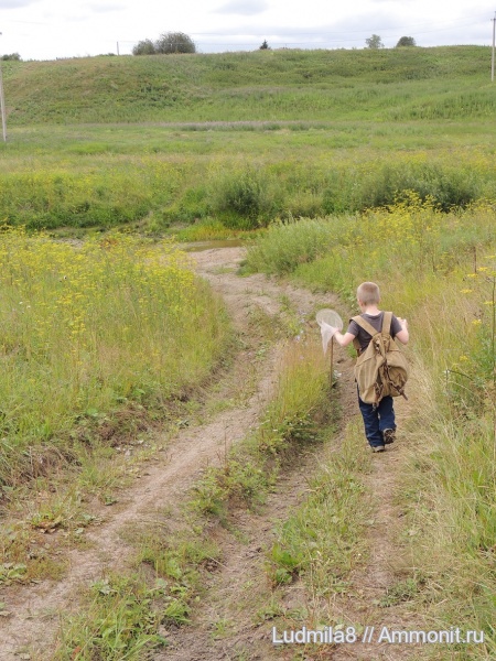скаты, зубы акул, Дерней