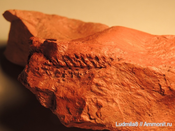 Красная Горнячка