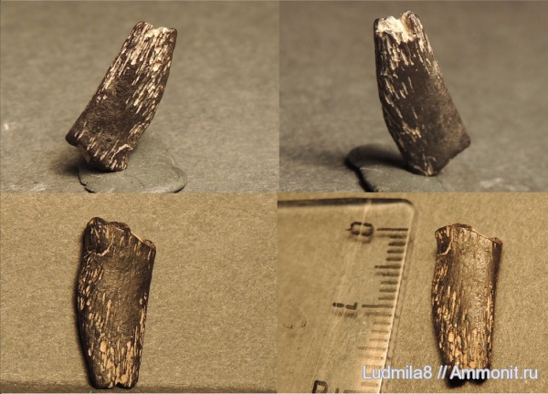 Свердловская область, Дерней