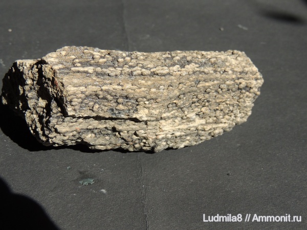 Челябинская область, шахта Центральная Копейска