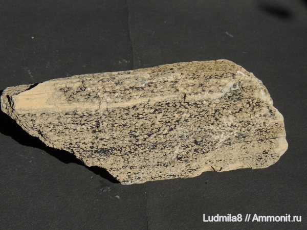 Челябинская область, шахта Центральная Копейска