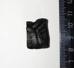 Американские пресноводные черепахи Emydidae Rafinesque, 1815.