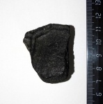 Хелидропсис Chelydropsis sp.