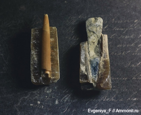 фрагмоконы