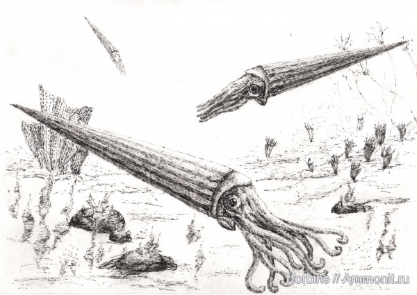 карбон, Actinocerida