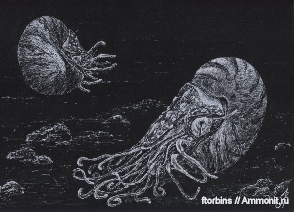 наутилусы, палеоарт