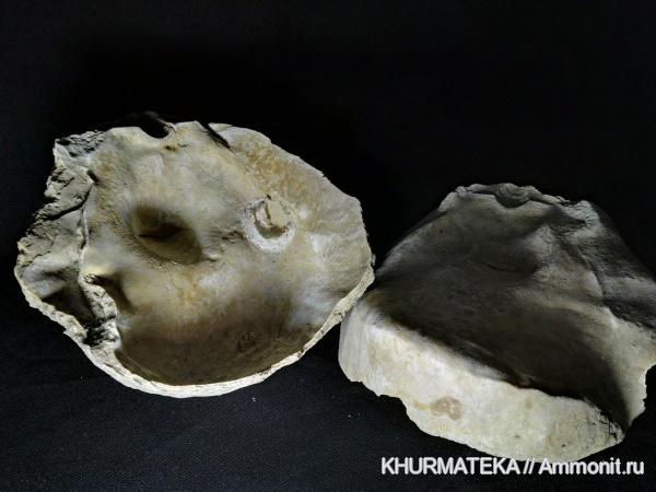 Инкерманская находка