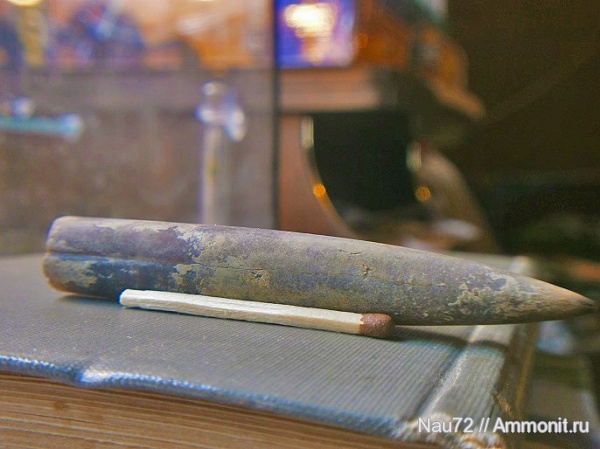 белемниты, Крым, апт