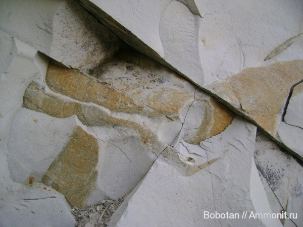 мел, мезозой, ихнофоссилии, Zoophycos