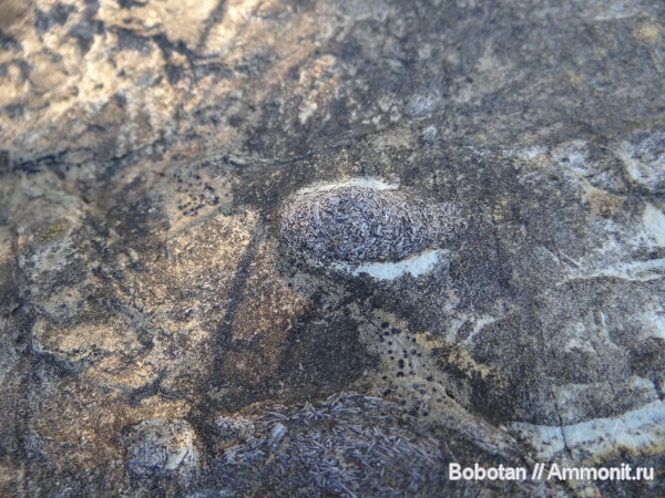 мел, мезозой