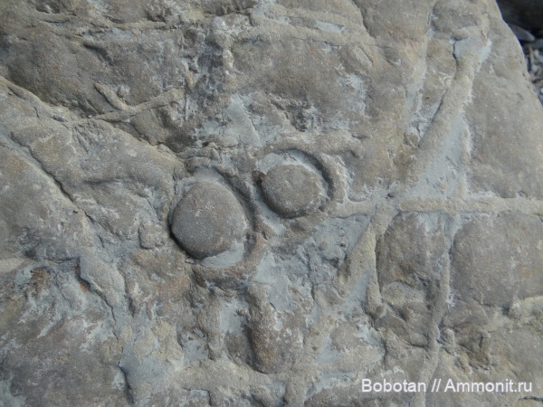 мел, мезозой