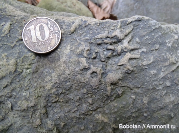 мел, мезозой, ихнофоссилии