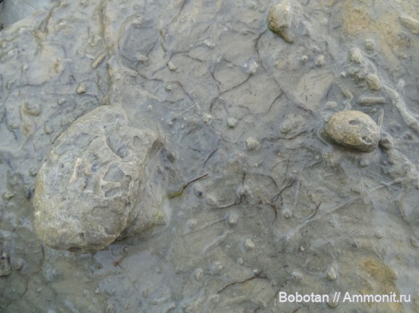 мел, мезозой, ихнофоссилии