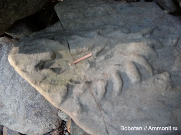 юра, мезозой