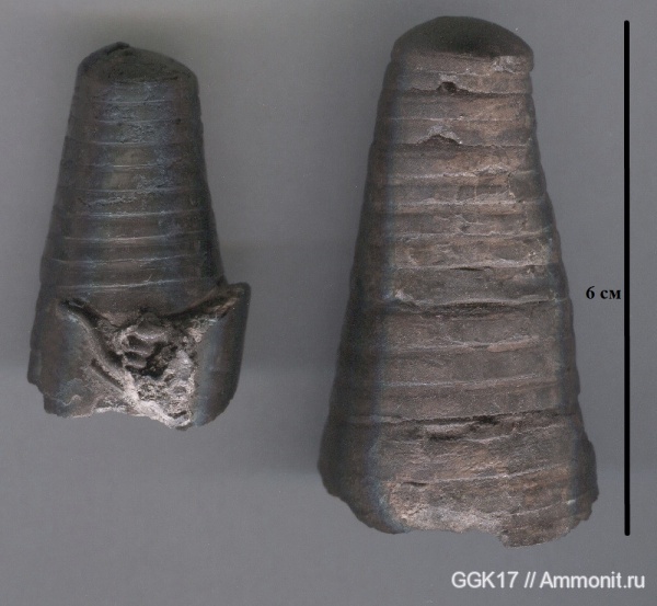 юра, бат, байос