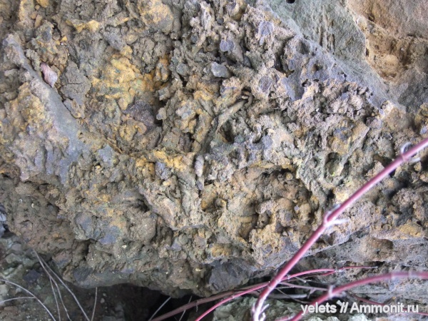 Липецкая область, верхний девон, аргамаченский карьер