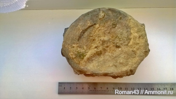 Мои находки.