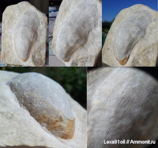 карбон, Жирновск, малый каменный овраг