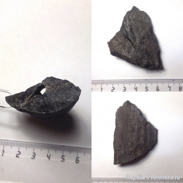 Еганово, кости