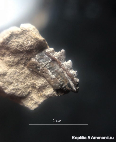 карбон, Заборье