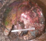 Аммонит с перламутром, 63 см, Таймыр