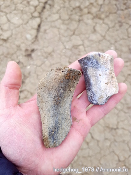 палеоген, олигоцен, Хаттский ярус