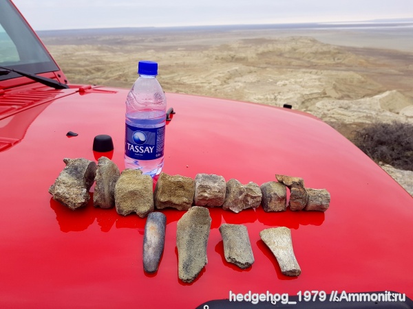 палеоген, олигоцен, Хаттский ярус