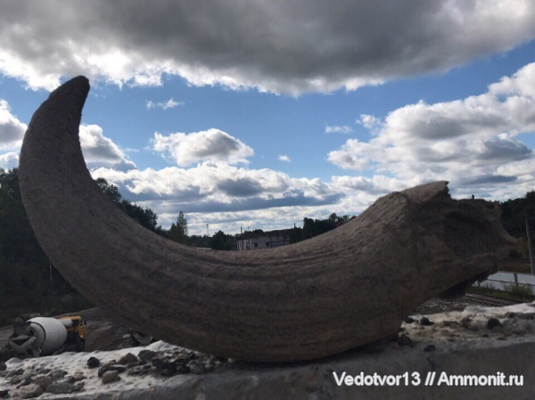 На определение