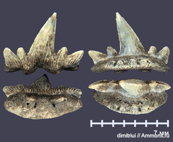 Карьер Борщевский