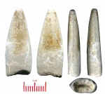 Зуб неизвестного теропода (Тимурленг?) из Джаракудука