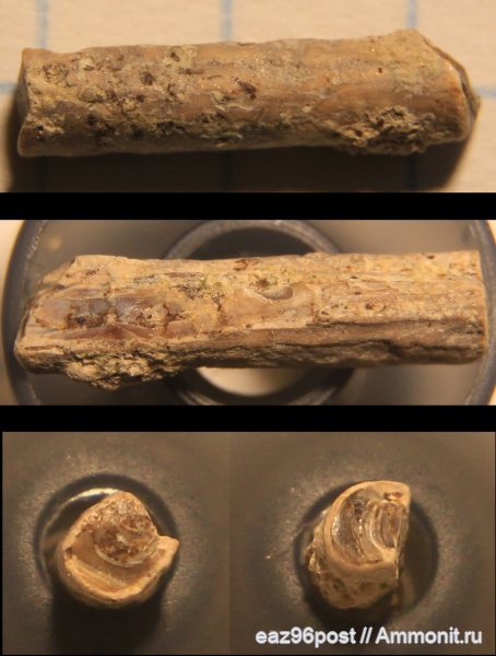 мел, Варавино