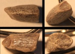 Фрагмент зуба морской рептилии или костной рыбы