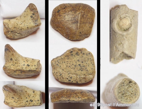 мел, сеноман, Шацк